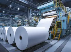 Pulpa y Papel